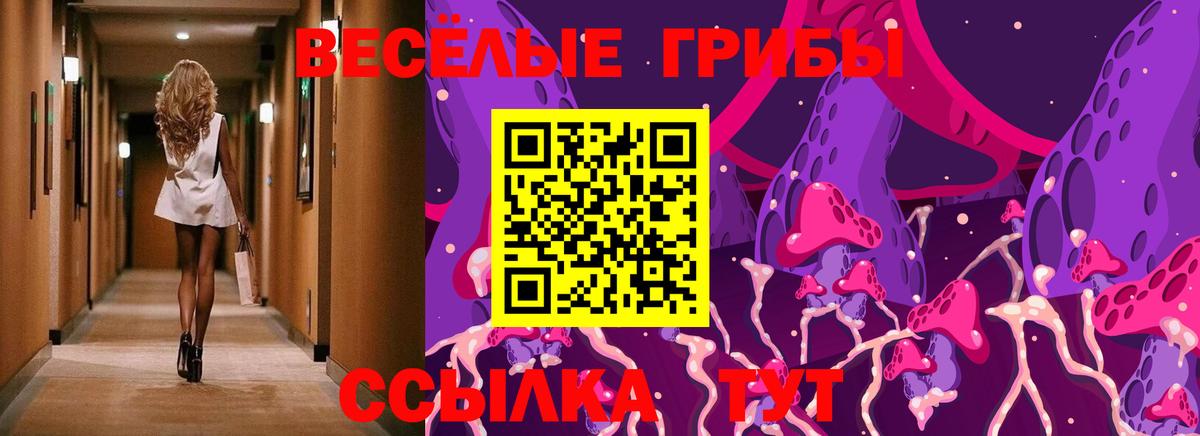 Галлюциногенные грибы Cubensis Борзя