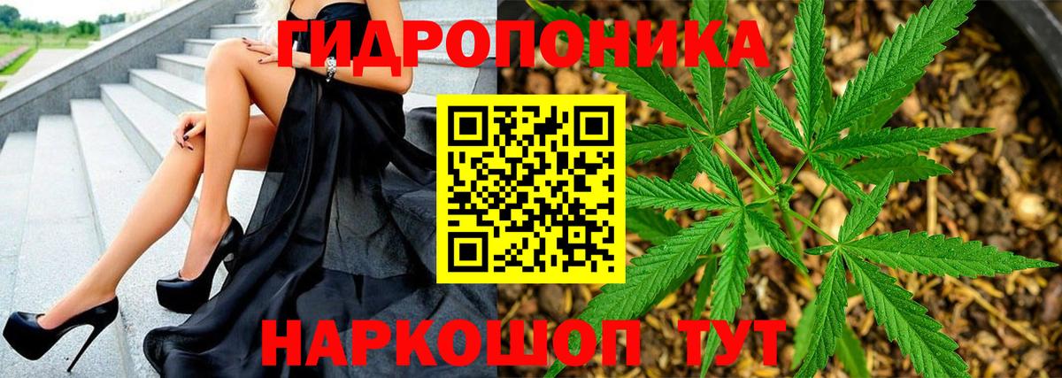 Канабис конопля Борзя